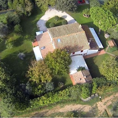 Relais Felciaino B&B Bolgheri Room photo