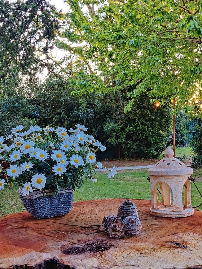 Relais Felciaino B&B Bolgheri Exterior photo