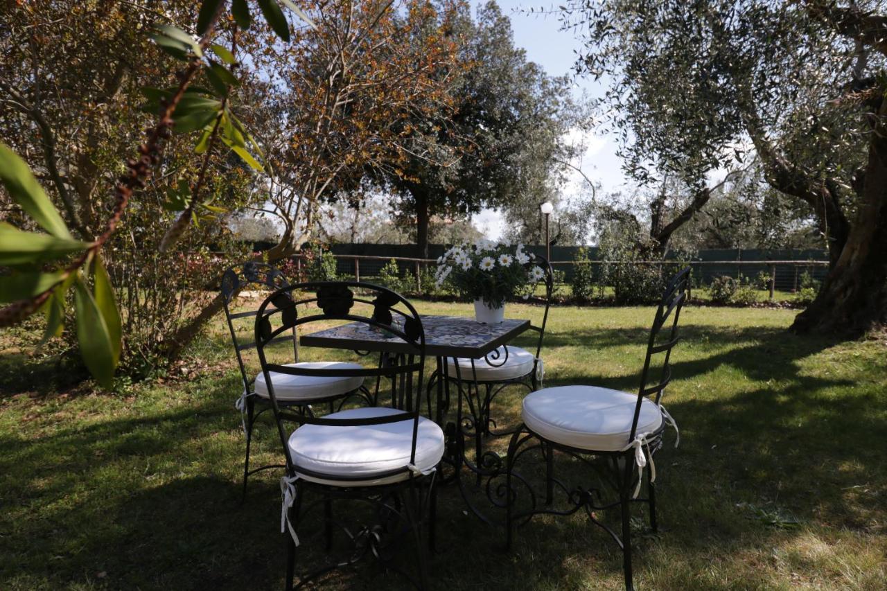 Relais Felciaino B&B Bolgheri Exterior photo