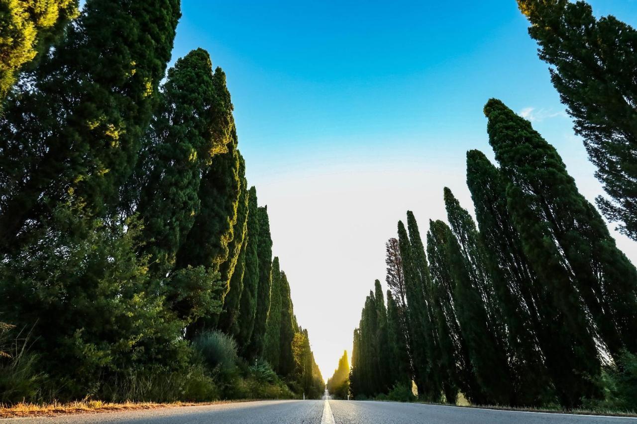 Relais Felciaino B&B Bolgheri Exterior photo