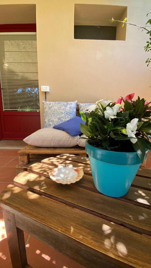 Relais Felciaino B&B Bolgheri Exterior photo