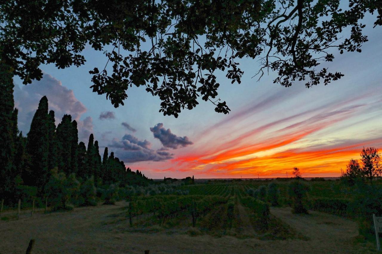 Relais Felciaino B&B Bolgheri Exterior photo