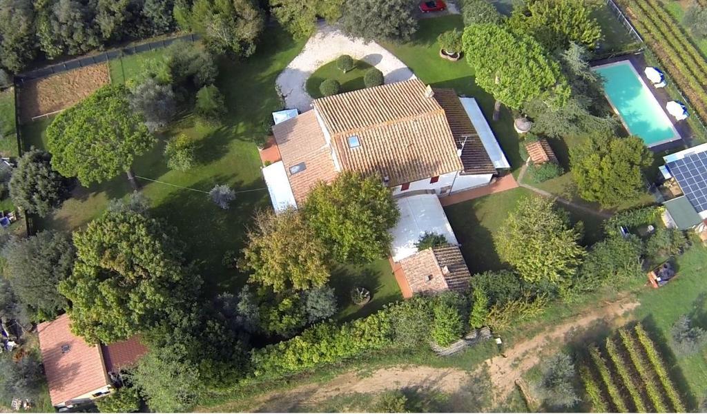 Relais Felciaino B&B Bolgheri Room photo